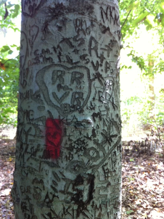 some kind of graffiti on a tree trunk