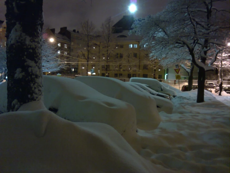 snow covered cars and buildings on a street