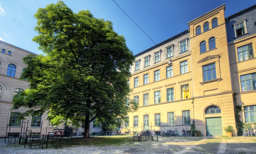 a group of windows and doors with trees in the background