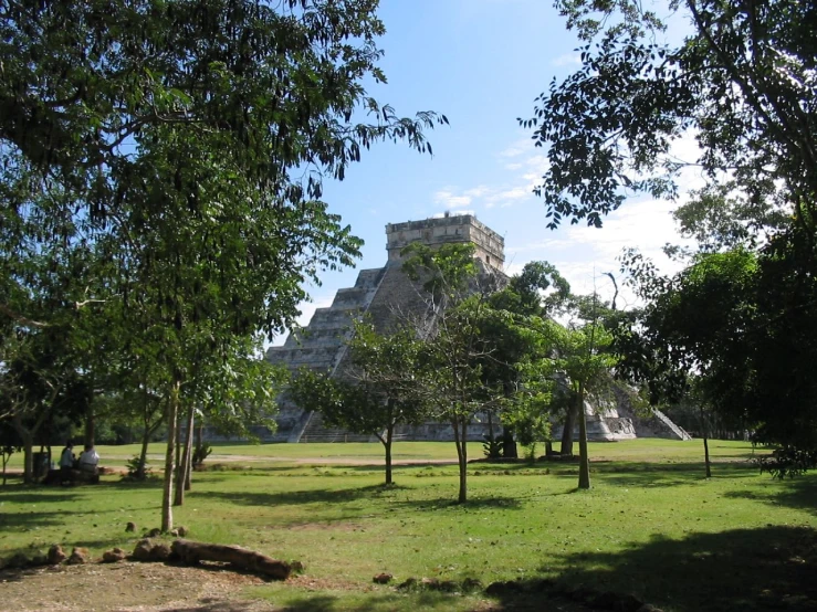 an area with trees and some buildings