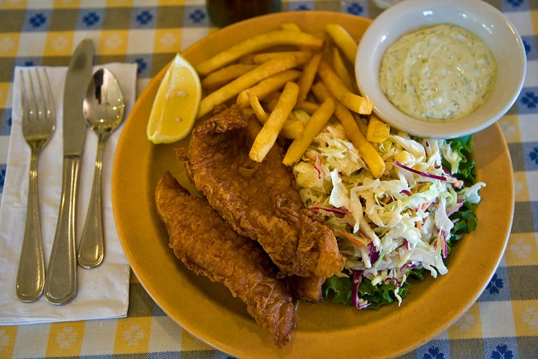 a plate full of french fries, meat, coleslaw and a salad