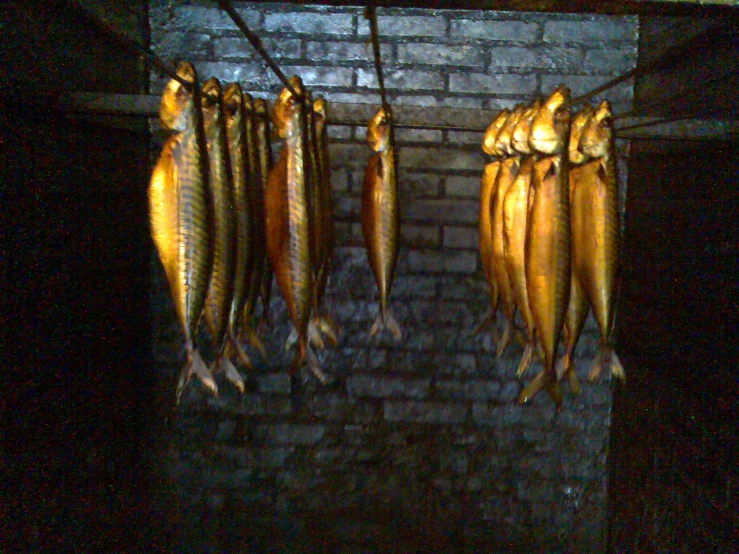 some fish hanging from a wire above a brick wall