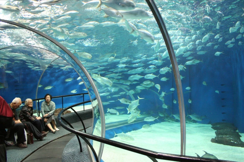 several people are sitting on a metal ledge in an aquarium