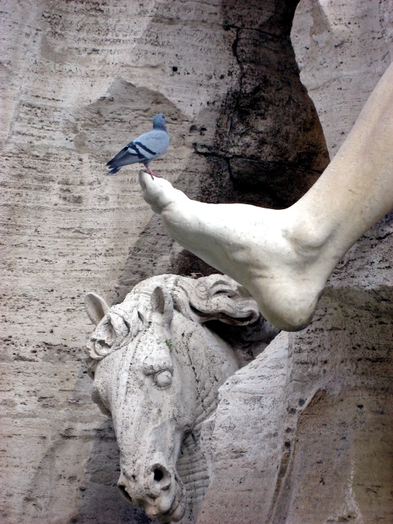a person holding a blue bird over an animal statue