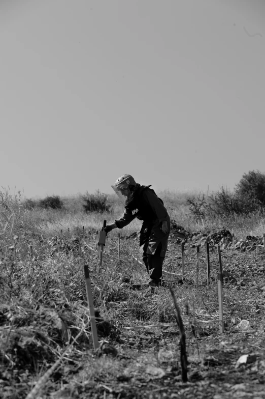 a person that is picking some weeds