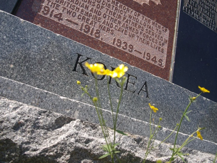 flowers growing on the corner of a memorial wall