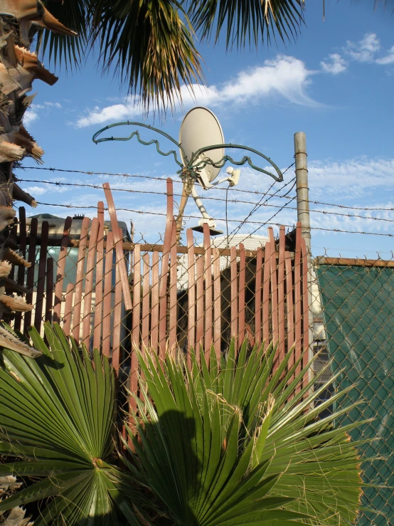 a street scene with a wire fence and trees