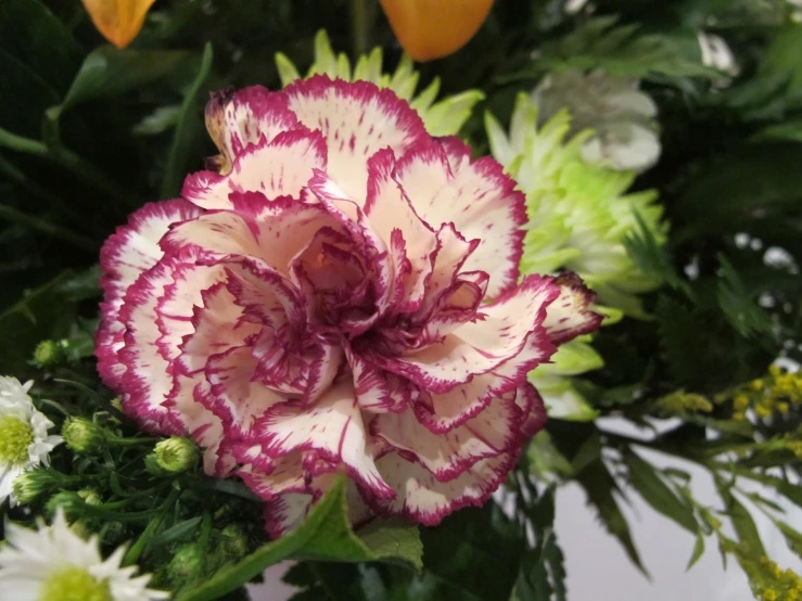 a close up view of flowers from below with white, pink and green