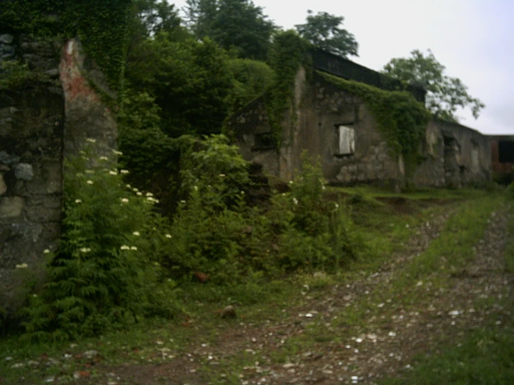 a run down building with vines growing out the front