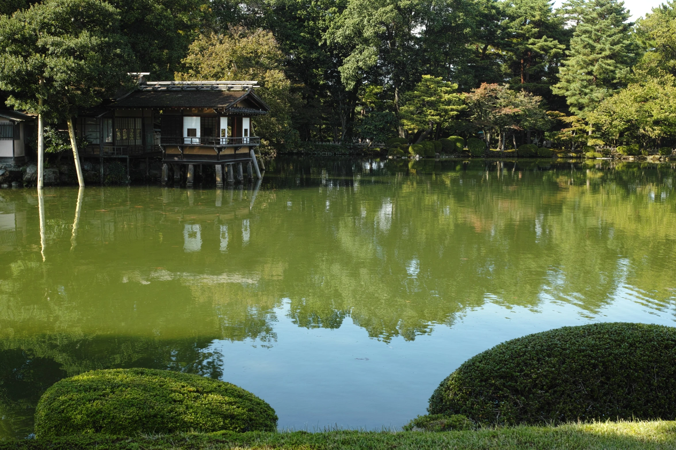 a pond has several benches and shrubs around it