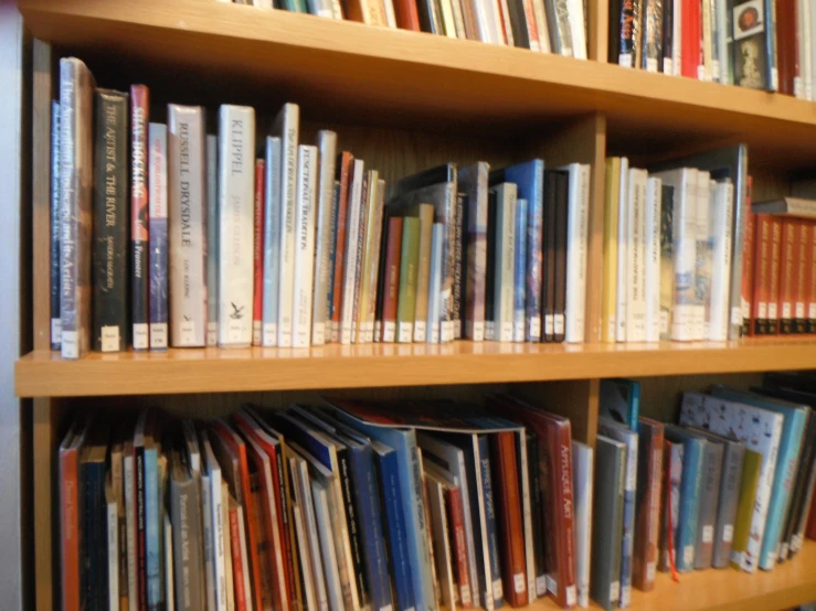 there are books on a wooden book case