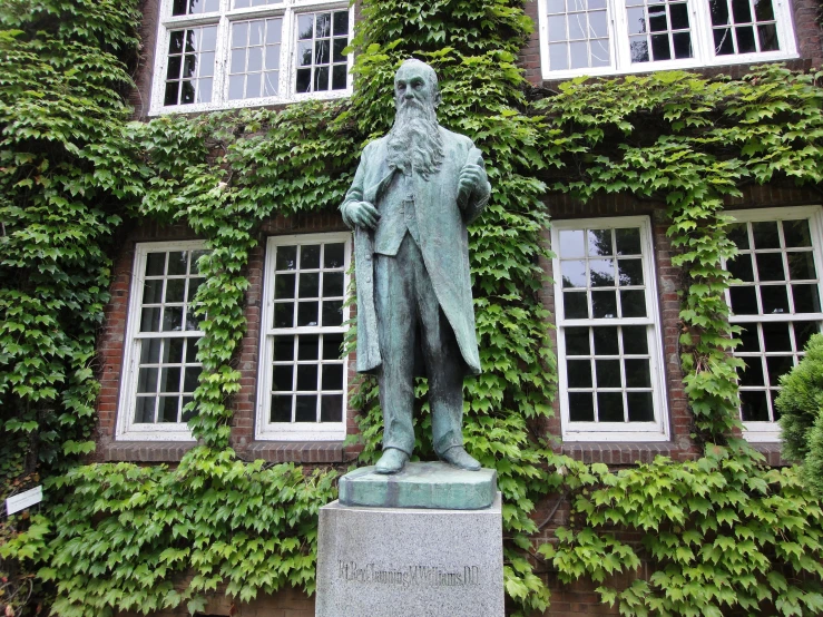 the statue has been placed next to the large ivy