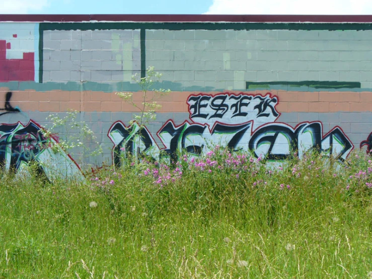 an old wall is covered with graffitti and weeds