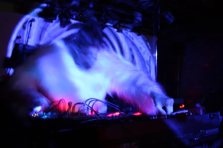 a cat plays music on top of a djs equipment