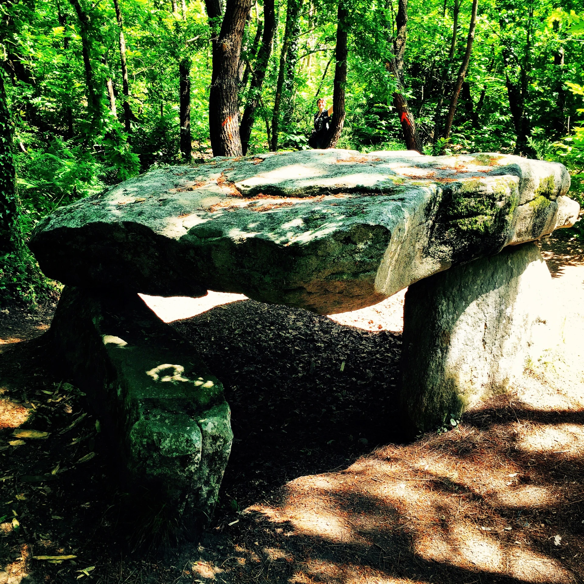 large rock sitting in a shady area near trees