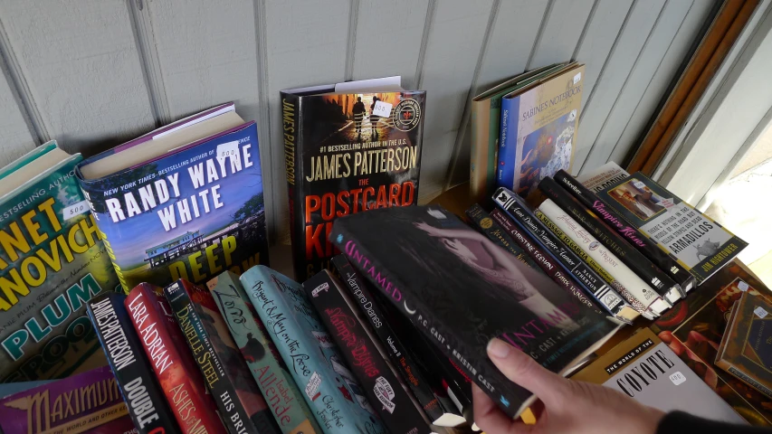 several books are lined up along the wall