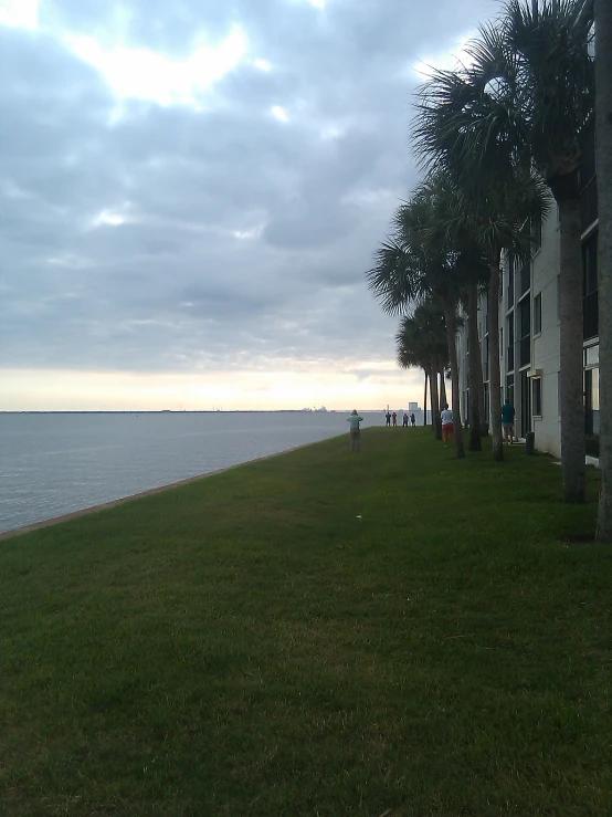 trees and buildings line the shoreline on a cloudy day