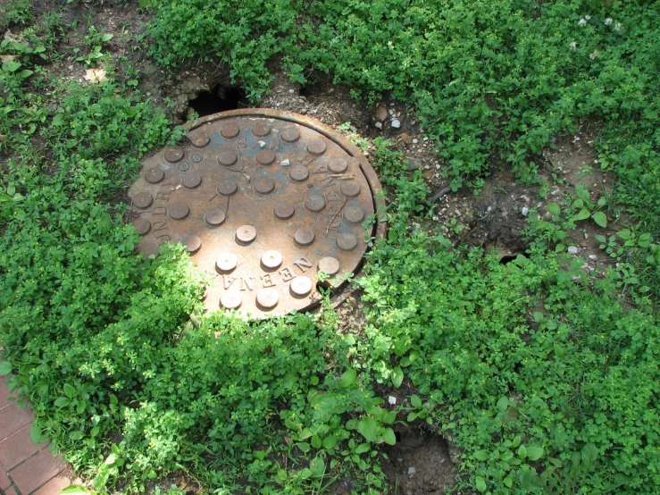 there is an old sewer cover embedded in the green grass
