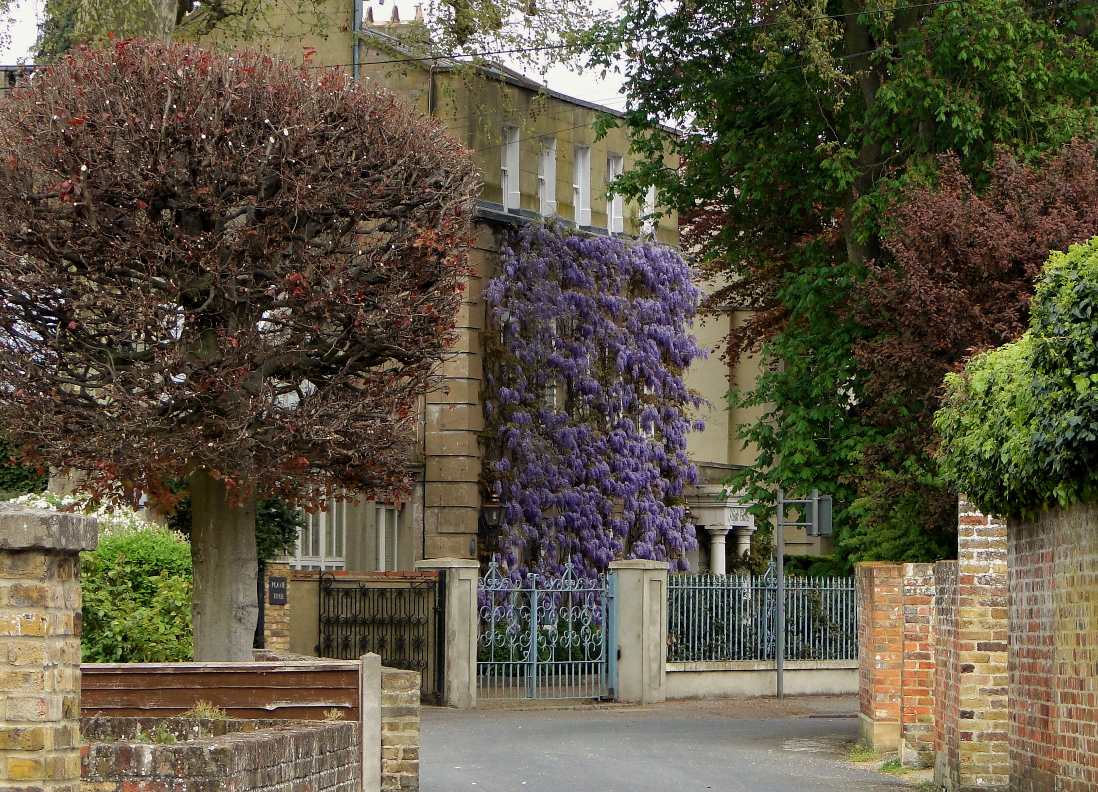 an ivy covered building in the distance