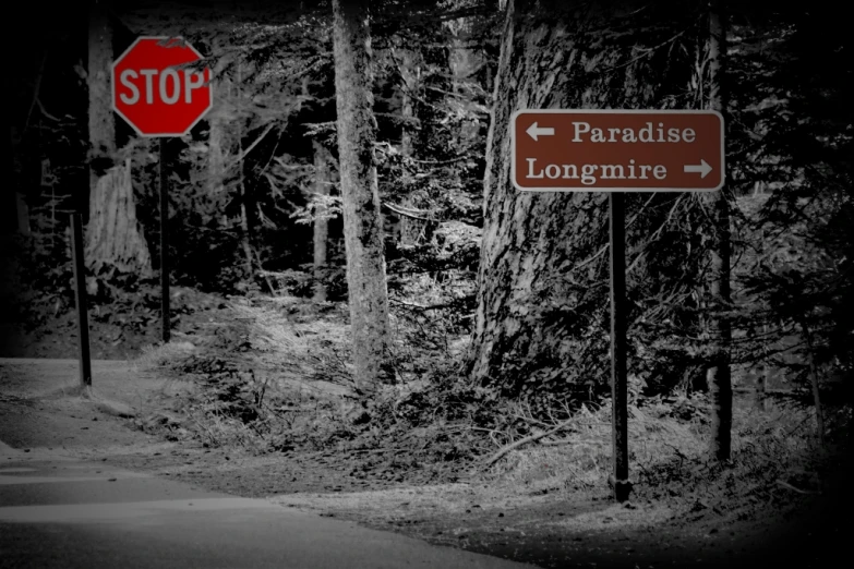 black and white pograph of stop sign and paradise longmee sign