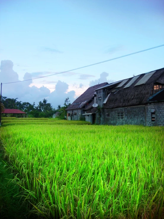 an old barn stands in a green field