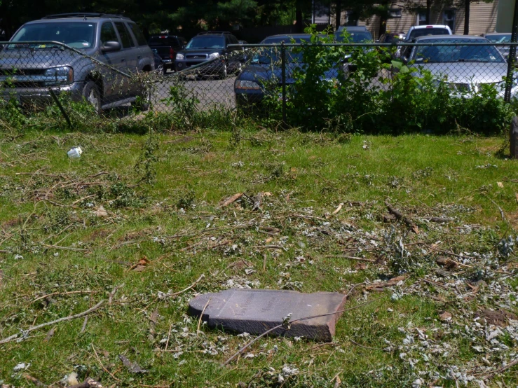 a piece of rock laying in the middle of grass