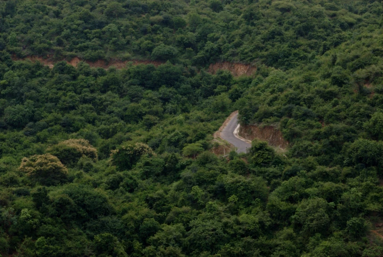 a road is surrounded by a thick green hillside