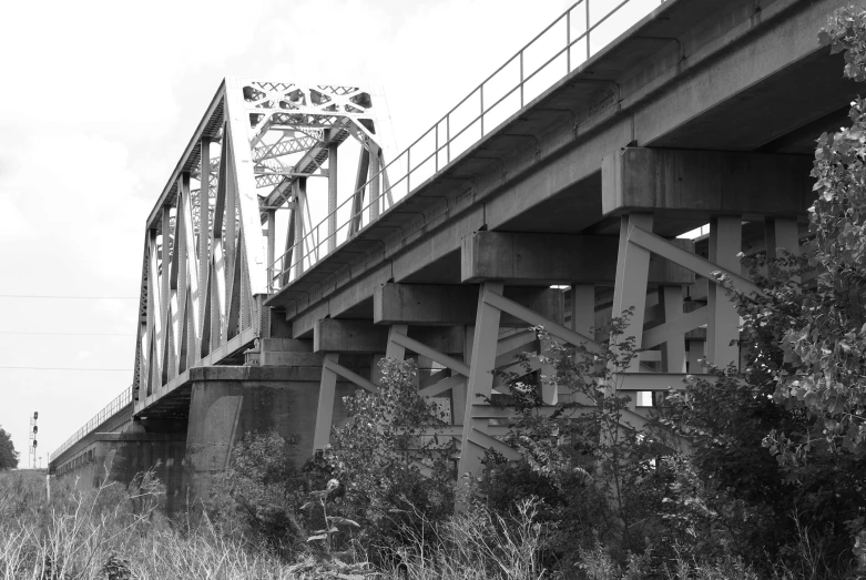 a large bridge has trees and weeds beside it