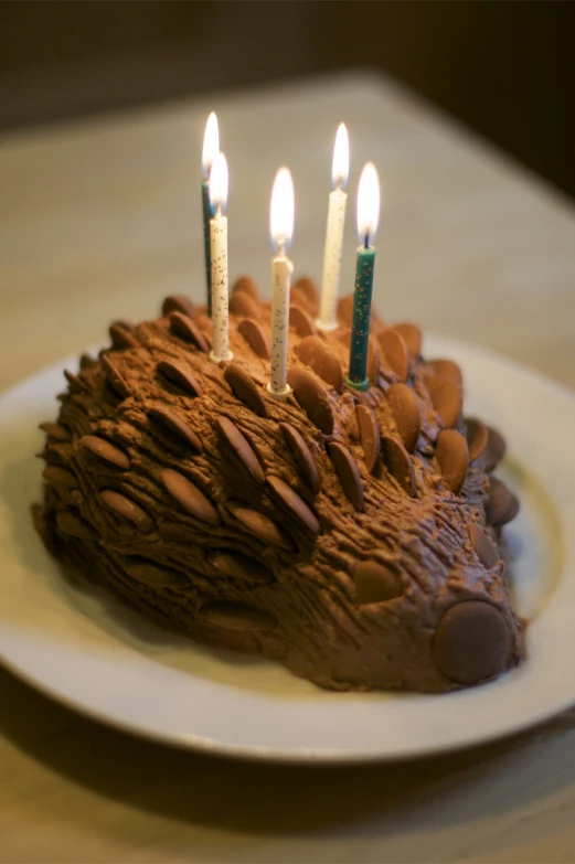 a birthday cake decorated with lit candles on a plate