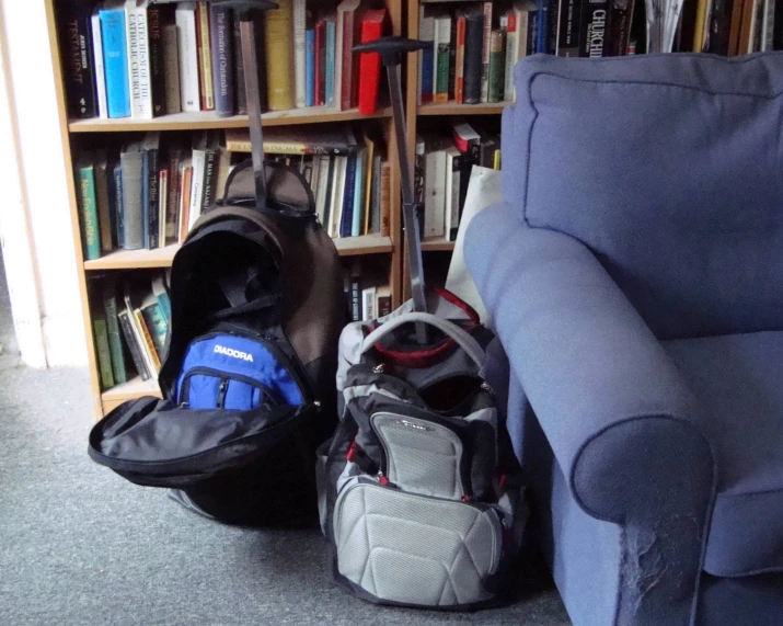 there are three backpacks on the floor by the bookshelf