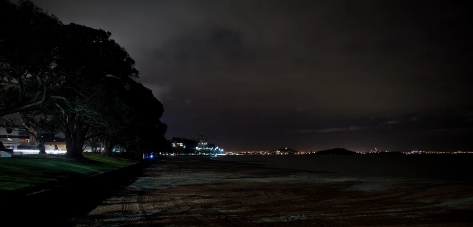 a dark landscape with trees in the foreground, and lights on in the background