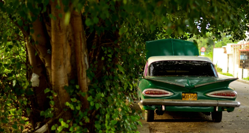 an old car with a top open under a tree