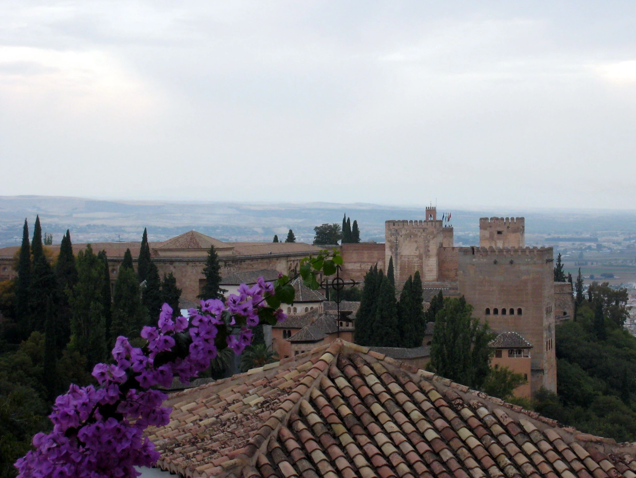 a view of some buildings from the top of the hill