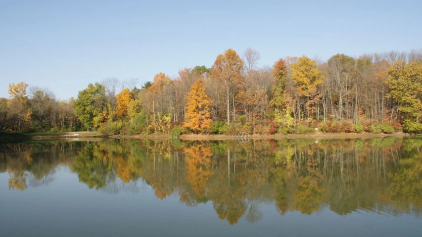 the reflection of trees in the water is very clear