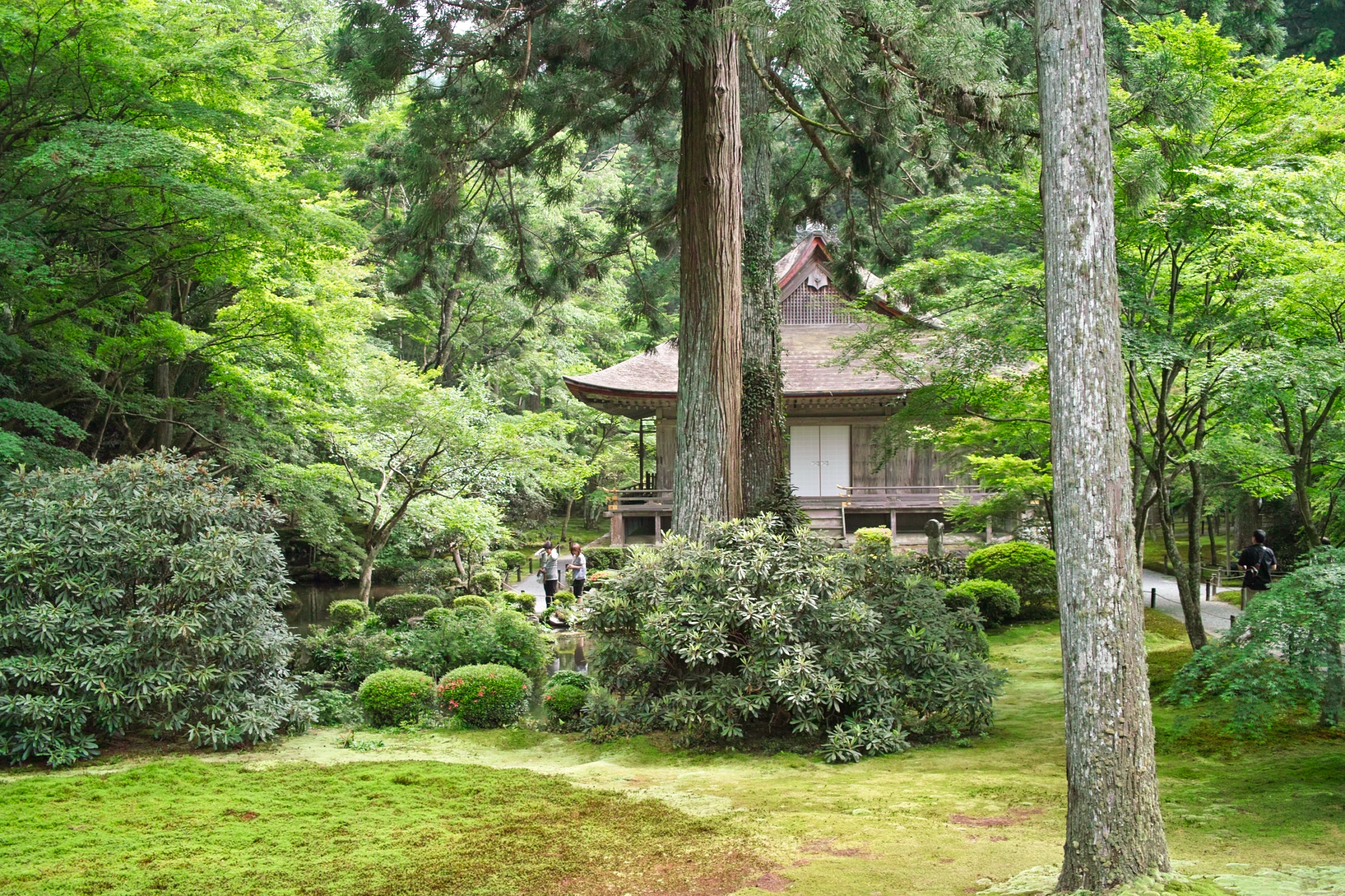 a beautiful house nestled in the middle of a wooded area