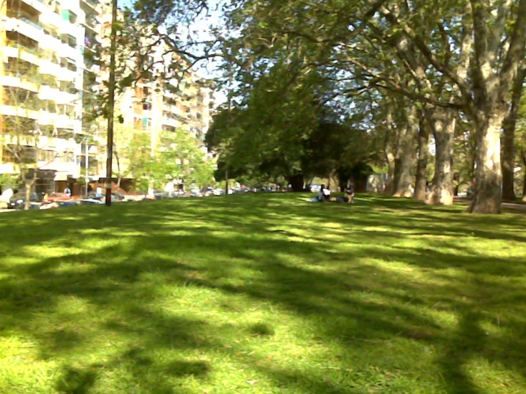 people are relaxing on the grass in the park