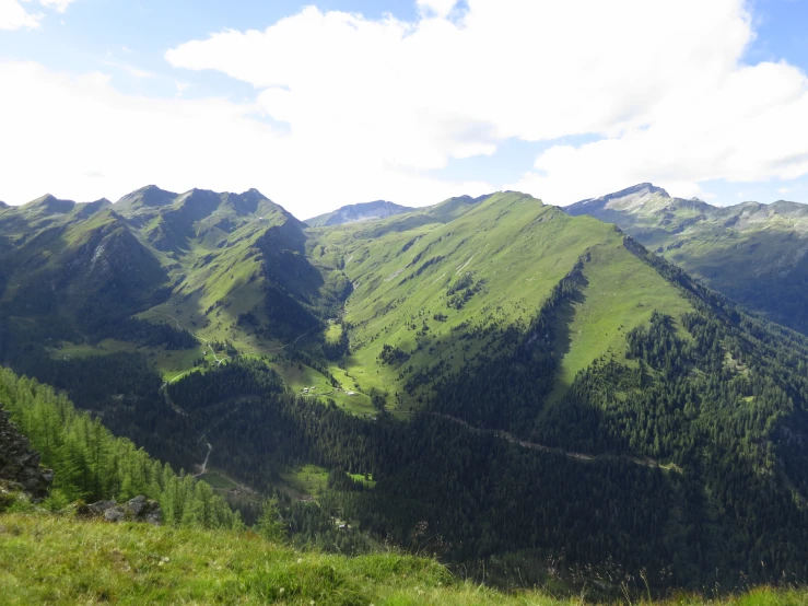 a mountain side valley with a group of pine trees in the distance