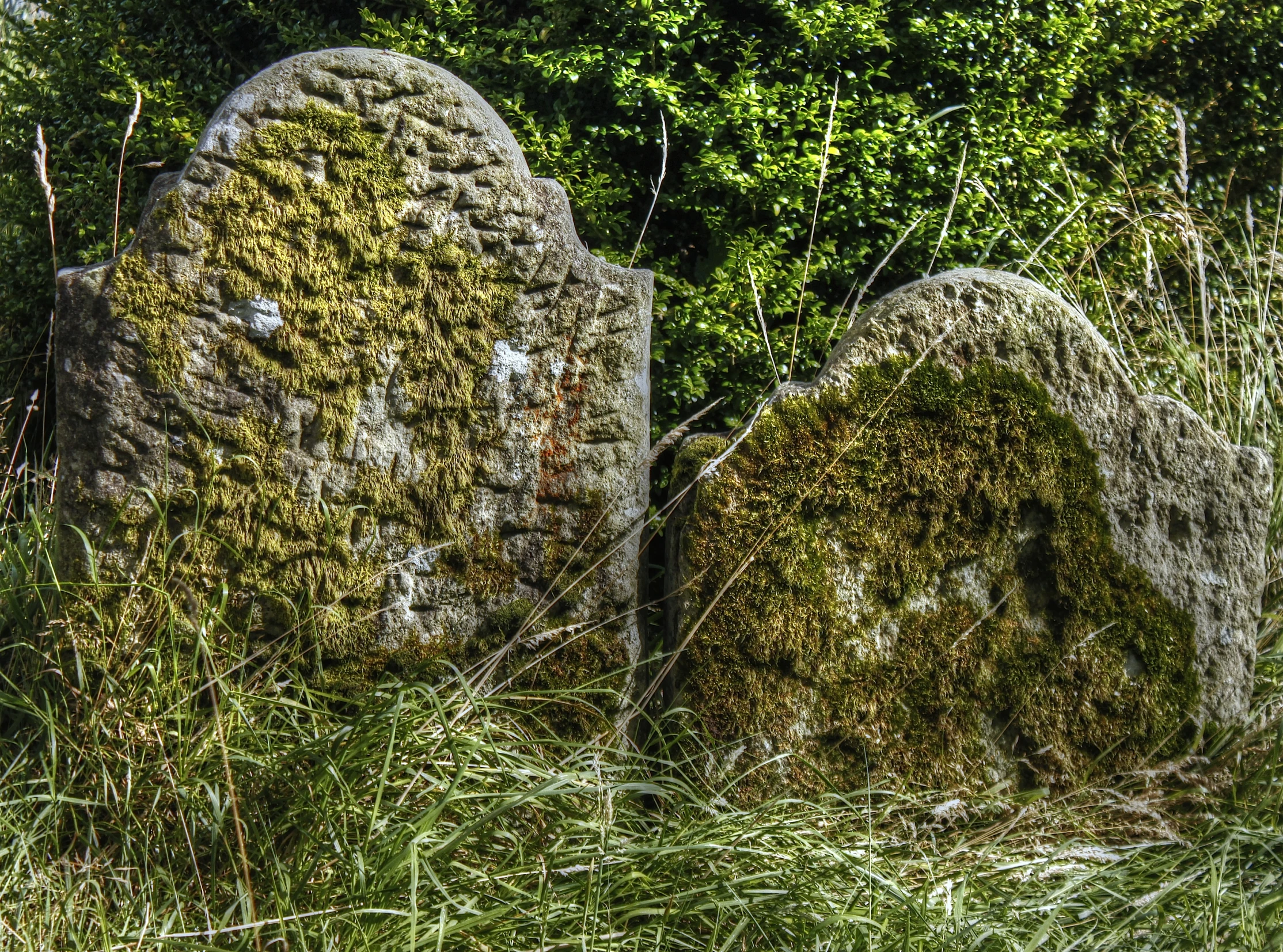 two stone structures with moss growing in them