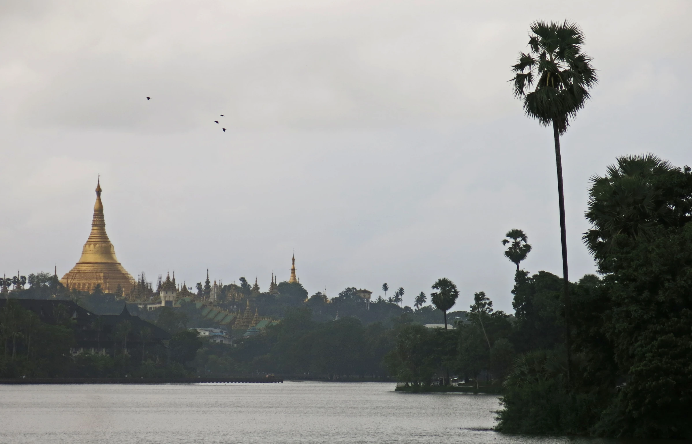 the skyline and gold dome of a church seen through trees