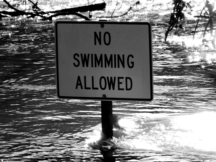 a sign reading no swimming allowed floating in water