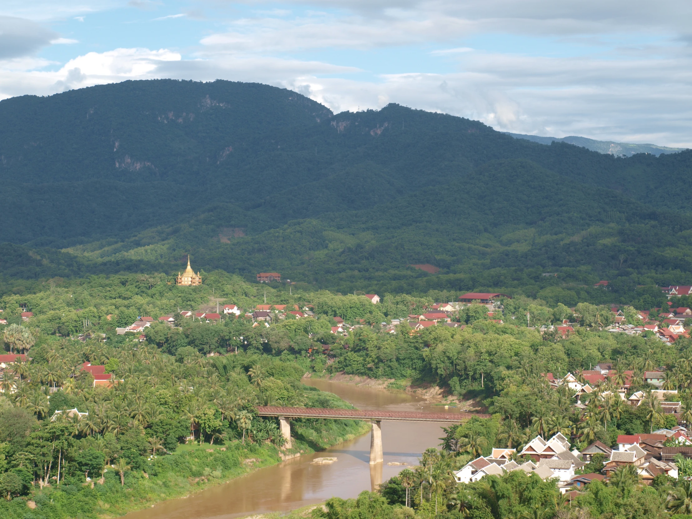 a mountain with trees in it and a river in front