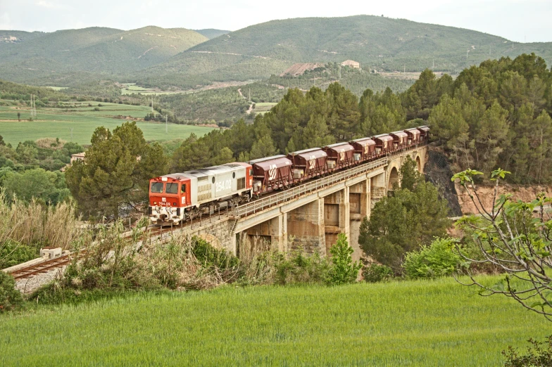 a train is riding on top of a bridge