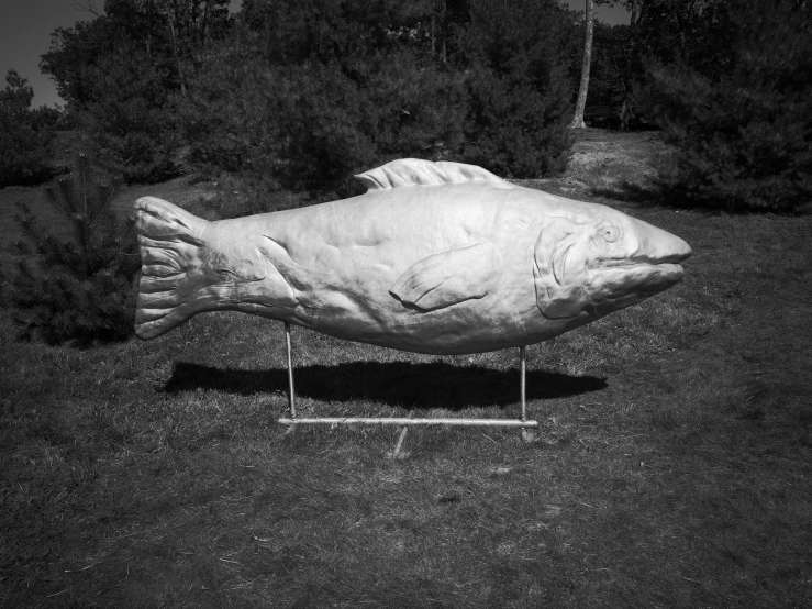 an interesting stone fish statue sits in a grassy area