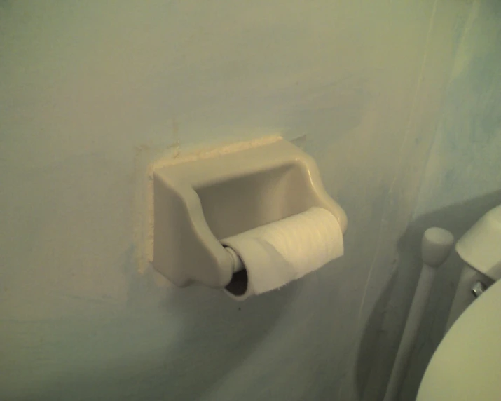 a toilet paper roll is hanging on the wall of a bathroom