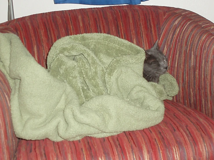 a cat curled up sleeping on a red couch covered by a blanket