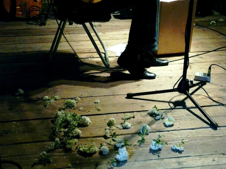 the guitarist is playing an instrument with petals of blue flowers on the ground