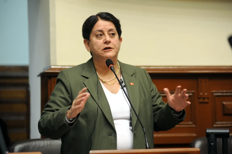 a woman with a microphone standing in front of an audience