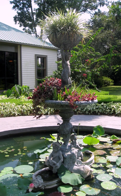 a fountain in a pond filled with waterlilies and flowers