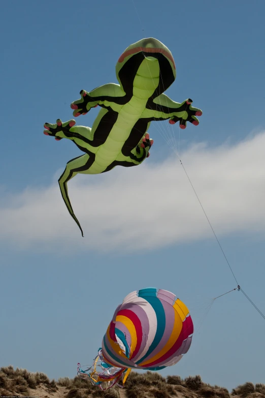 a group of people on the beach flying large kites