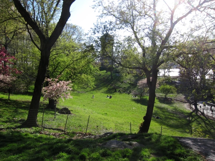 a view from the top of the hill, of people walking in the park